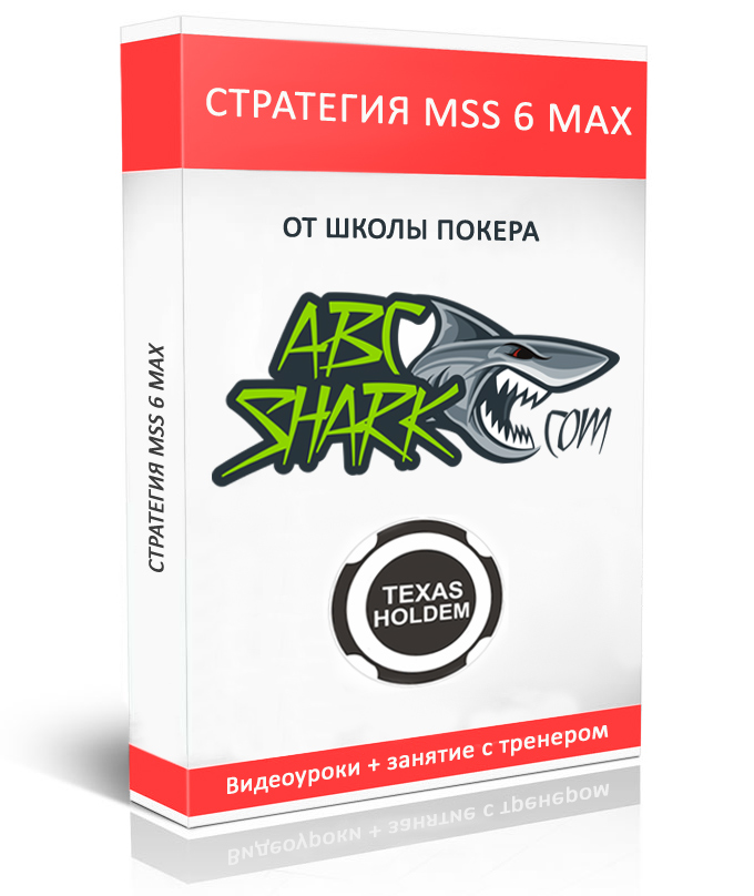 mss-strategy